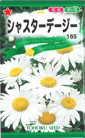 【代引不可】【送料5袋まで80円】◇ seed たね tane 種 種子 タネ □シャスターデージー■花 種 花 種 花 種 花 種 花 種 花 種 花 種 花 種 花 種 花 種 花 種 花 種 花 種■花 種 花 種 花 種 花 種 花 種