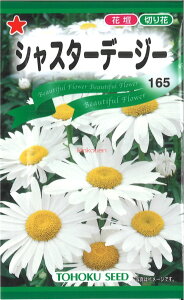 yszy5܂܂80~z VX^[f[W[