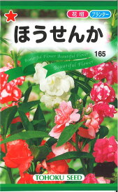 【代引不可】【送料5袋まで80円】◇ seed たね tane 種 種子 タネ □ほうせんか■花 種 花 種 花 種 花 種 花 種 花 種 花 種 花 種 花 種 花 種 花 種 花 種 花 種■花 種 花 種 花 種 花 種 花 種 花 種 花