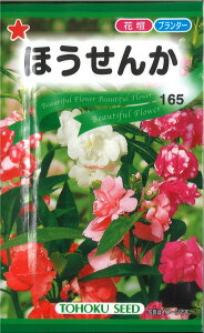 12{蔭@yszy5܂܂80~z seed  tane  q@ق qq  ق񂩎qq   seed  tane  qق񂩎qq   seed  t