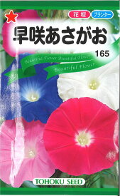 【代引不可】【送料5袋まで80円】◇ seed たね tane 種 種子 タネ □早咲あさがお■花 種 花 種 花 種 花 種 花 種 花 種 花 種 花 種 花 種 花 種 花 種 花 種 花 種■花 種 花 種 花 種 花 種 花 種 花 種■