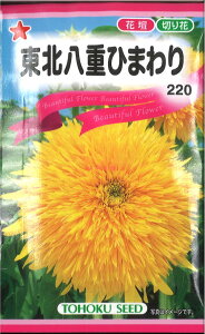 12{蔭@yszy5܂܂80~z seed  tane  q@kdЂ܂ qq  퓌kdЂ܂qq   seed  tane  qkdЂ܂q