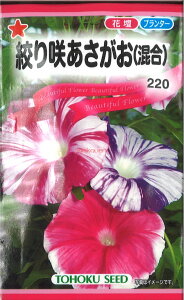 �y����s�z�y����5�܂܂�80�~�z seed ���� tane �� ��q�@���i��炠���������� ����q��q �� ��i��炠������������q��q �� �� seed ���� tane �� ��q�i��炠������������q��q �� �� see