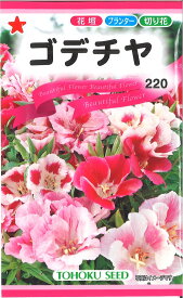 【代引不可】【送料5袋まで80円】◇ seed たね tane 種 種子 タネ □ゴデチャ■花 種 花 種 花 種 花 種 花 種 花 種 花 種 花 種 花 種 花 種 花 種 花 種 花 種■花 種 花 種 花 種 花 種 花 種 花 種■