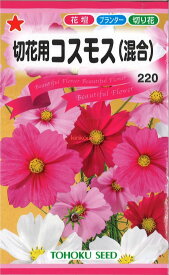 【代引不可】【送料5袋まで80円】◇ seed たね tane 種 種子 タネ □切花用コスモス■花 種 花 種 花 種 花 種 花 種 花 種 花 種 花 種 花 種 花 種 花 種 花 種 花 種■花 種 花 種 花 種 花 種 花 種 花 種