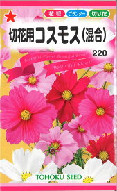 【代引不可】【送料5袋まで80円】◇ seed たね tane 種 種子 タネ □切花用コスモス■花 種 花 種 花 種 花 種 花 種 花 種 花 種 花 種 花 種 花 種 花 種 花 種 花 種■花 種 花 種 花 種 花 種 花 種 花 種