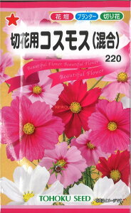 12{蔭@yszy5܂܂80~z seed  tane  q@؉ԗpRXX qq  ؉ԗpRXXqq   seed  tane  q؉ԗpRXX