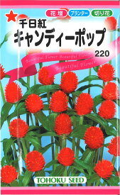 【代引不可】【送料5袋まで80円】◇ seed たね tane 種 種子 タネ □キャンディーポップ■花 種 花 種 花 種 花 種 花 種 花 種 花 種 花 種 花 種 花 種 花 種 花 種 花 種■花 種 花 種 花 種 花 種 花■