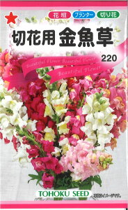 yszy5܂܂80~z ؉ԗp