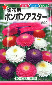 【代引不可】【送料5袋まで80円】◇ seed たね tane 種 種子 タネ □ポンポンアスター■花 種 花 種 花 種 花 種 花 種 花 種 花 種 花 種 花 種 花 種 花 種 花 種 花 種■花 種 花 種 花 種 花 種 花 種■