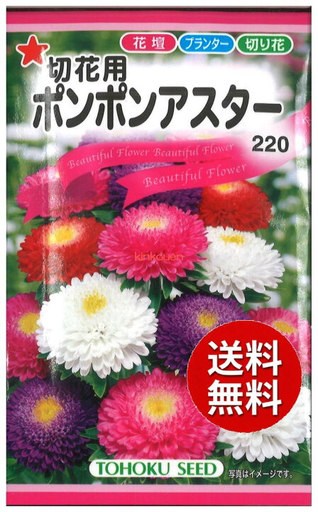 楽天市場 3 3 2 代引不可 送料5袋まで80円 切花用ポンポンアスター Seed たね Tane 種 種子 花の種 錦幸園 楽天市場店 楽天市場 3 3 2 代引不可 送料5袋まで80円 切花用ポンポンアスター Seed たね Tane 種 種子 花の種 錦幸園 楽天市場店