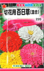 【代引不可】【送料5袋まで80円】◇ seed たね tane 種 種子 タネ □切花用百日草■花 種 花 種 花 種 花 種 花 種 花 種 花 種 花 種 花 種 花 種 花 種 花 種 花 種■花 種 花 種 花 種 花 種 花 種 花 種■