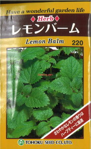 yszy5܂܂80~z seed  tane  q@o[ qq n[u 탌o[qq n[u  seed  tane  qo[qq n[u  seed  