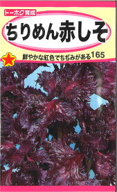 【代引不可】【送料5袋まで80円】◇ seed たね tane 種 種子 タネ □ちりめん赤しそ■種子 葉野菜 他 種ハーブ 種 種子 葉野菜 他 種ハーブ 種 種子 葉野菜 他 種ハーブ 種 種子 葉野菜 他 種ハーブ 種 種子 葉野菜 他 種ハ