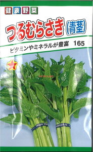 12{蔭@yszy5܂܂80~z seed  tane  q@ނ炳s qq t  ނ炳sqq t   seed  tane  q