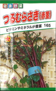 �y����s�z�y����5�܂܂�80�~�z seed ���� tane �� ��q�@����ނ炳���Ԍs�@���� ����q��q �t��� �� ���ނ炳���Ԍs ������q��q �t��� �� �� seed ���� tane �� ��q��ނ炳����