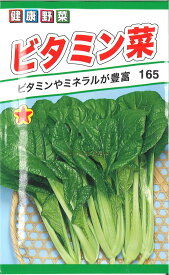 【代引不可】【送料5袋まで80円】◇ seed たね tane 種 種子 タネ □ビタミン菜■種子 葉野菜 他 種 種子 葉野菜 他 種 種子 葉野菜 他 種 種子 葉野菜 他 種 種子 葉野菜 他 種 種子 葉野菜 他 種 種子 葉野菜 他 種