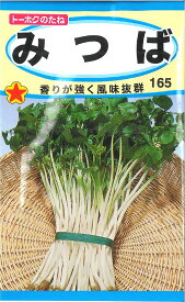 【代引不可】【送料5袋まで80円】◇ seed たね tane 種 種子 タネ □みつば■種子 葉野菜 他 種 種子 葉野菜 他 種 種子 葉野菜 他 種 種子 葉野菜 他 種 種子 葉野菜 他 種 種子 葉野菜 他 種 種子 葉野菜 他 種 種子