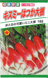 【代引不可】【送料5袋まで80円】◇ seed たね tane 種 種子 タネ □キスミーはつか大根■種子 葉野菜 他 種種子 大根 カブ 種 種子 葉野菜 他 種種子 大根 カブ 種 種子 葉野菜 他 種種子 大根 カブ 種 種子 葉野菜 他 種