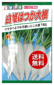 【代引不可】 【送料無料】seed たね tane 種 種子□白姫はつか大根 ◇種子種子 葉野菜 他 種種子 大根 カブ 種白姫はつか大根種子種子 葉野菜 他 種種子 大根 カブ 種 seed たね tane 種 種子白姫はつか大根種子種子