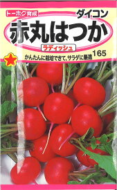 【代引不可】【送料5袋まで80円】◇ seed たね tane 種 種子 タネ □赤丸はつかラディッシュ■種子 葉野菜 他 種種子 大根 カブ 種 種子 葉野菜 他 種種子 大根 カブ 種 種子 葉野菜 他 種種子 大根 カブ 種 種子 葉野菜■