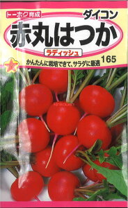 yszy5܂܂80~z seed  tane  q@Ԋۂ͂fBbV qq 卪 Ju q t  Ԋۂ͂fBbVqq 卪 Ju q t  