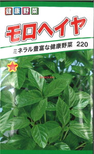 12{蔭@yszy5܂܂80~z seed  tane  q@wC qq t  탂wCqq t   seed  tane  qwCqq 