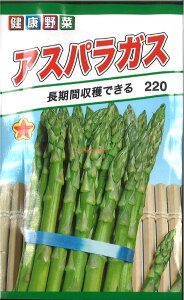 12{蔭@yszy5܂܂80~z seed  tane  q@AXpKX qq t  AXpKXqq t   seed  tane  qAXpKX