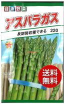 楽天市場】アスパラガス 苗 2年生の通販