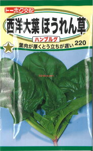 yszy5܂܂80~z mtق nuO