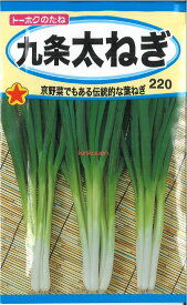 【代引不可】【送料5袋まで80円】 □九条太ねぎ