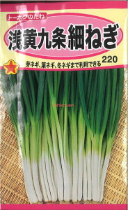 �y����s�z�y����5�܂܂�80�~�z seed ���� tane �� ��q�@���󉩋���ׂ˂� ����q��q �l�M ��󉩋���ׂ˂���q��q �l�M �� seed ���� tane �� ��q�󉩋���ׂ˂���q��q �l�M �� seed ���� 