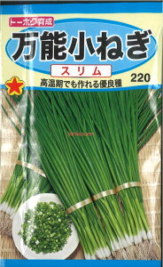 12{蔭@yszy5܂܂80~z seed  tane  q@\˂X qq lM 햜\˂Xqq lM  seed  tane  q\˂X