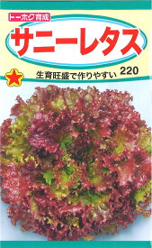 【代引不可】【送料5袋まで80円】◇ seed たね tane 種 種子 タネ □サニーレタス■種子 ブロッコリー カリフラワー レタス 種 種子 ブロッコリー カリフラワー レタス 種 種子 ブロッコリー カリフラワー レタス 種 種子 ブロッコ