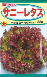 yszy5܂܂80~z Tj[^X