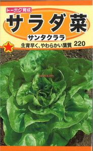 12{蔭@yszy5܂܂80~z seed  tane  q@T_؃T^N qq t  T_؃T^Nqq t   seed  tane  