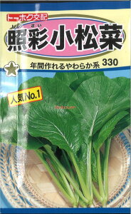 12{蔭@yszy5܂܂80~z seed  tane  q@ƍʏ qq R}c ƍʏ؎qq R}c  seed  tane  qƍʏ؎qq R