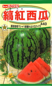 【代引不可】【送料5袋まで80円】 □縞紅西瓜