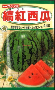 12{蔭@yszy5܂܂80~z seed  tane  q@ȍgZ qq XCJ S[ E ȍgZqq XCJ S[ E  seed  tane  qȍg