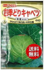 【代引不可】【送料5袋まで80円】 seed たね tane 種 種子　□四季どりキャベツ味星 ◇種子種子 キャベツ 種四季どりキャベツ味星種子種子 キャベツ 種 seed たね tane 種 種子四季どりキャベツ味星種子種子 キャベツ