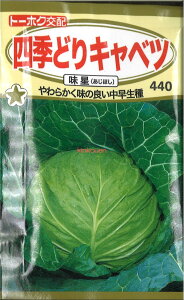 yszy5܂܂80~z seed  tane  q@lGǂLxc qq Lxc lGǂLxcqq Lxc  seed  tane  qlGǂLxc