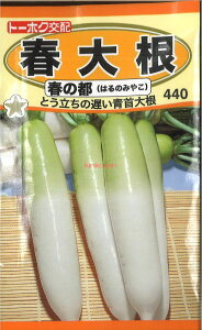 12{蔭@yszy5܂܂80~z seed  tane  q@t卪t̓s qq 卪 Ju t卪t̓sqq 卪 Ju  seed  tane  qt卪t̓s