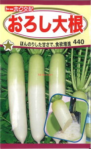 yszy5܂܂80~z seed  tane  q@낵卪 qq 卪 Ju 킨낵卪qq 卪 Ju  seed  tane  q낵卪qq 卪 Ju  seed 