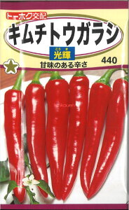 12{蔭@yszy5܂܂80~z seed  tane  q@L`gEKVP qq s[} VVgE gEKV L`gEKVPqq s[} V