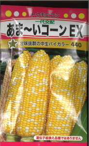 �y����s�z�y����5�܂܂�80�~�z seed ���� tane �� ��q�@�����܁`���R�[��EX ����q��q �g�E�����R�V �킠��~���R�[��EX��q��q �g�E�����R�V �� seed ���� tane �� ��q����~���R�[��EX��q��