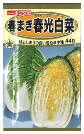 楽天市場 春まき 白菜の通販
