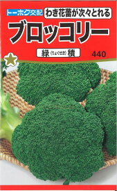 【代引不可】【送料5袋まで80円】◇ seed たね tane 種 種子 タネ □ブロッコリー緑積■種子 ブロッコリー カリフラワー レタス 種 種子 ブロッコリー カリフラワー レタス 種 種子 ブロッコリー カリフラワー レタス 種 種子 ブ