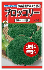 【代引不可】 【送料無料】seed たね tane 種 種子□ブロッコリー緑積 ◇種子種子 ブロッコリー カリフラワー 種ブロッコリー緑積種子種子 ブロッコリー カリフラワー 種 seed たね tane 種 種子ブロッコリー緑積種子種