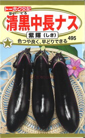 【代引不可】【送料5袋まで80円】◇ seed たね tane 種 種子 タネ □清黒中長ナス紫輝■種子 ナス 種 種子 ナス 種 種子 ナス 種 種子 ナス 種 種子 ナス 種 種子 ナス 種 種子 ナス 種 種子 ナス 種 種子 ナス 種 種子