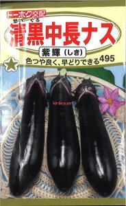 �y����s�z�y����5�܂܂�80�~�z seed ���� tane �� ��q�@�����������i�X���P ����q��q �i�X �퐴�������i�X���P��q��q �i�X �� seed ���� tane �� ��q���������i�X���P��q��q �i�X �� see